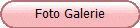Foto Galerie